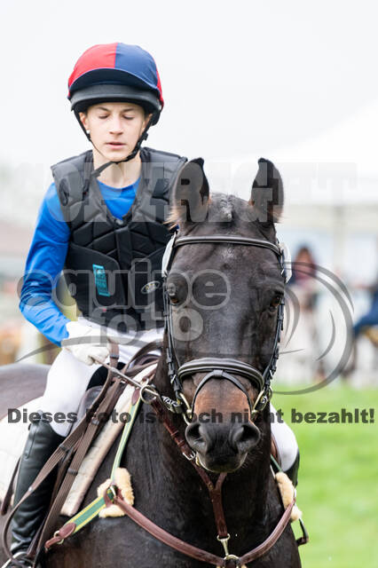 Goldene Schärpe 2020 - Pferde