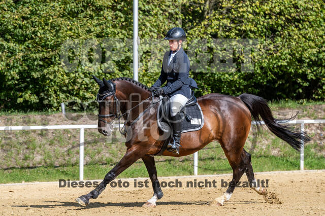 RFV Dinslaken-Hiesfeld (Herbstturnier)