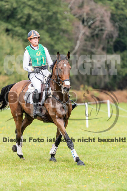 Deutsche Meisterschaft Vielseitigkeit (Luhmühlen)