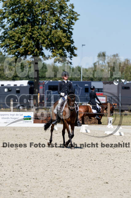 Kronenberg - De Peelbergen (August 2020)