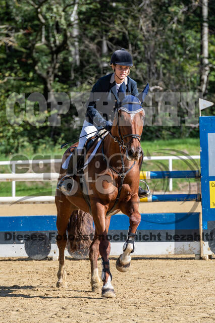 RFV Dinslaken-Hiesfeld (Herbstturnier)