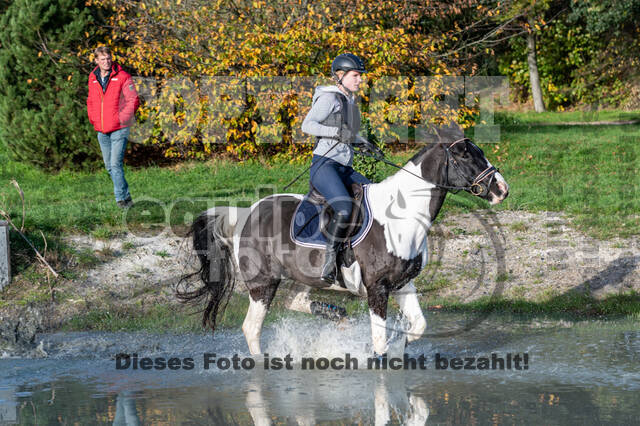IGV Lehrgang der Sieger der Cups mit Frank Ostholt
