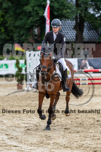 Goldene Schärpe 2021 - Ponys