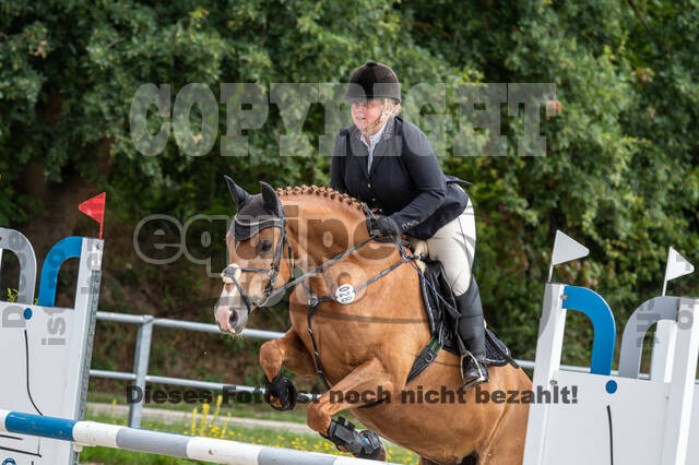 Late-Entry-Vielseitigkeit Langenfeld (06.+07.07.2020)