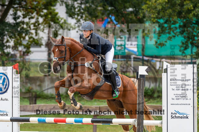 Vielseitigkeit RSV Wesel Obrighoven (26.+27.09.2020)
