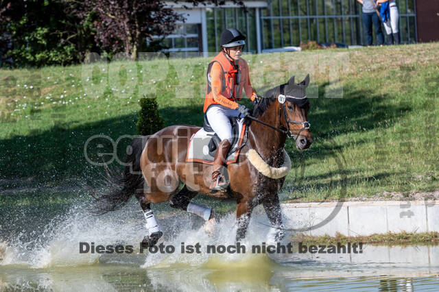 Late-Entry-Vielseitigkeit Langenfeld (11.+13./14.06.2020)