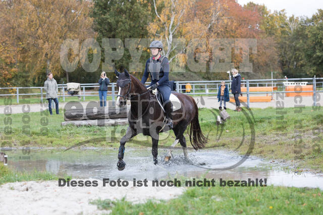IGV Lehrgang der Sieger der Cups mit Frank Ostholt