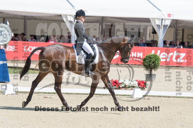 FEI European Championship Eventing 2017