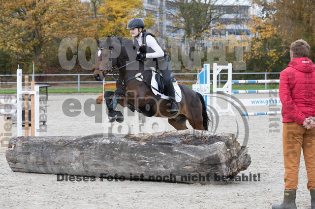 IGV Lehrgang der Sieger der Cups mit Frank Ostholt
