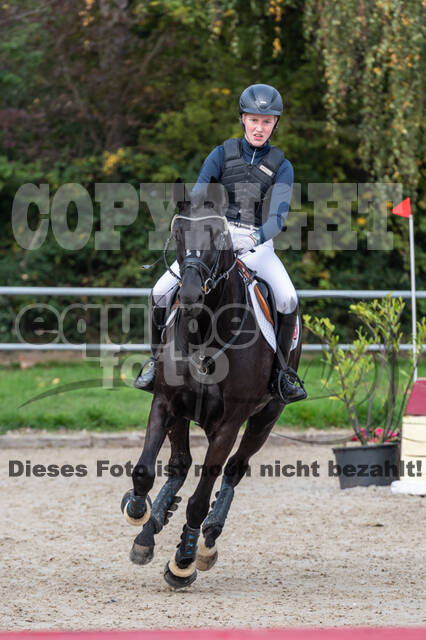 Goldene Schärpe 2020 - Pferde