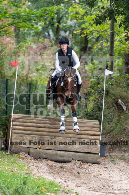 Goldene Schärpe 2020 - Pferde