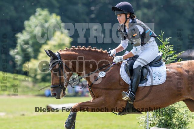 Goldene Schärpe 2021 - Ponys