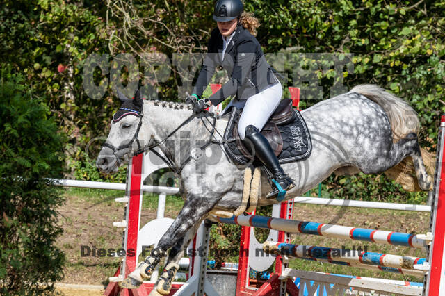 RFV Dinslaken-Hiesfeld (Herbstturnier)