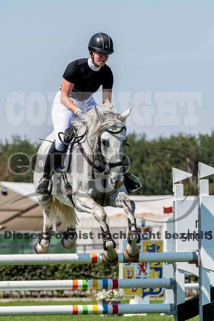 Kronenberg - De Peelbergen (August 2020)