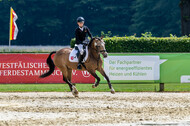Goldene Schärpe 2021 - Ponys