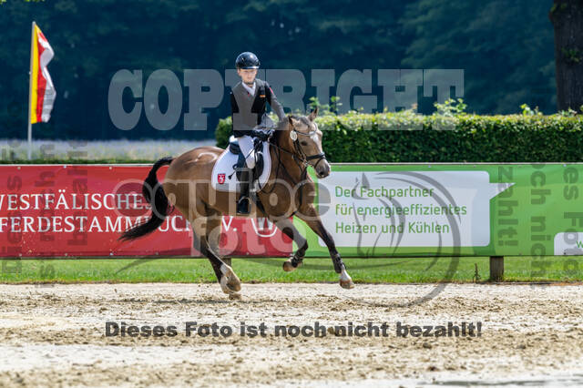 Goldene Schärpe 2021 - Ponys
