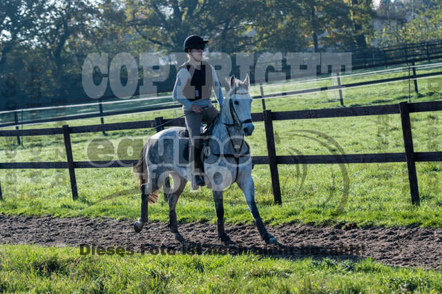 Vielseitigkeitslehrgang mit Jürg Kurbel (9.+10.11.2019)