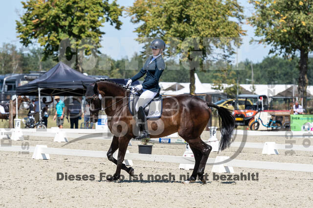 Kronenberg - De Peelbergen (August 2020)