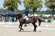Kronenberg - De Peelbergen (August 2020)
