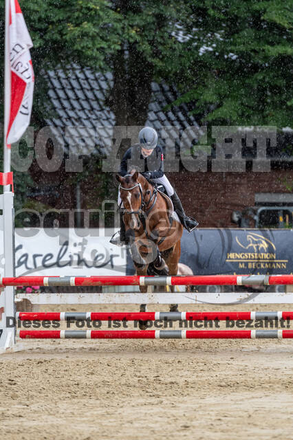 Goldene Schärpe 2021 - Ponys