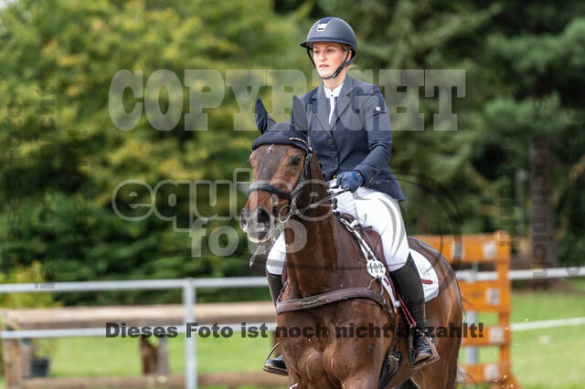 Late-Entry-Vielseitigkeit Langenfeld (06.+07.07.2020)