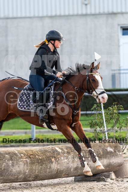 IGV Lehrgang der Sieger der Cups mit Frank Ostholt