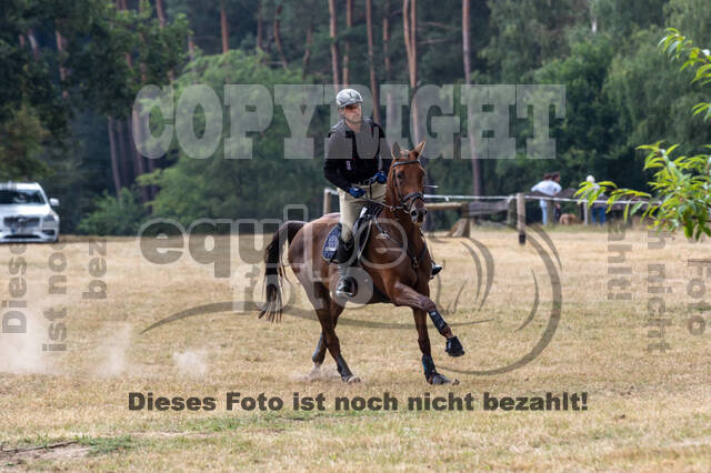 Late-Entry Vielseitigkeit Hamminkeln/Wesel (01.+02.08.2020)