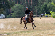 Late-Entry Vielseitigkeit Hamminkeln/Wesel (01.+02.08.2020)