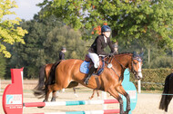 IGV Kleve