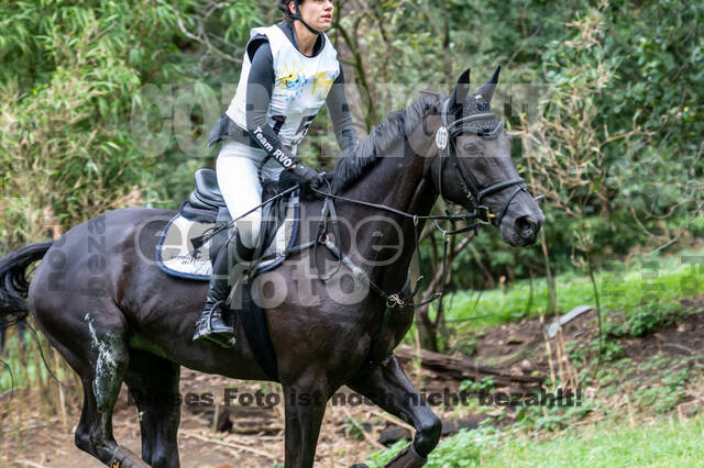 Vielseitigkeit RSV Wesel Obrighoven (26.+27.09.2020)