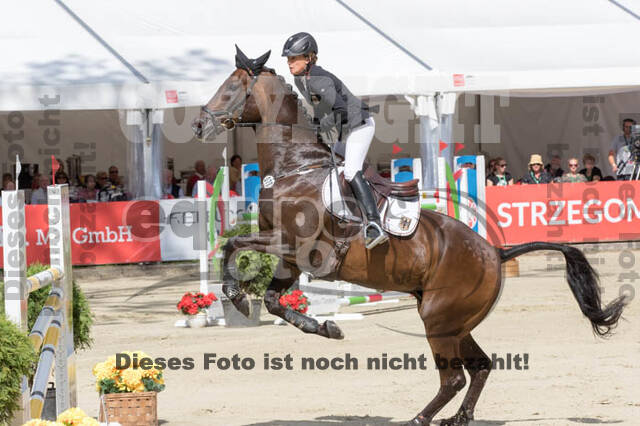 FEI European Championship Eventing 2017