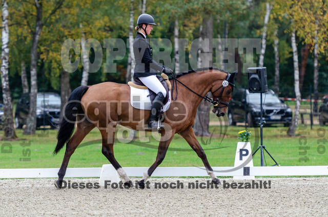 Deutsche Meisterschaft Vielseitigkeit (Luhmühlen)