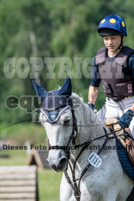 Goldene Schärpe 2021 - Ponys