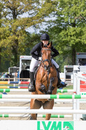 Sterne über Münster 2019 - CCI***S