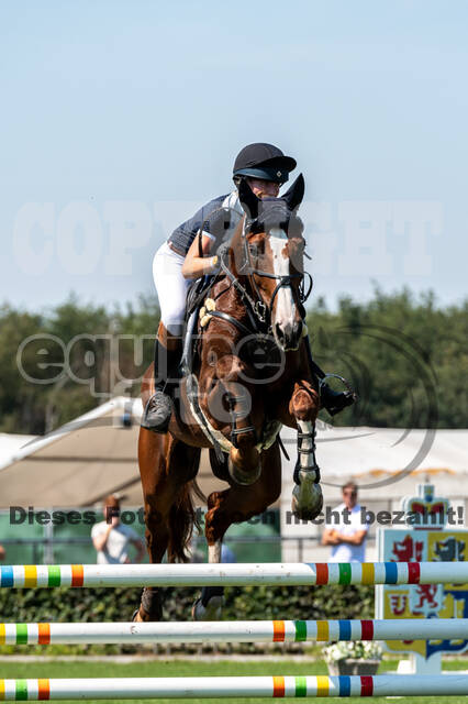 Kronenberg - De Peelbergen (August 2020)