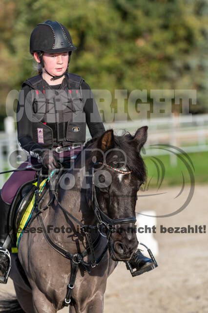 IGV Lehrgang der Sieger der Cups mit Frank Ostholt