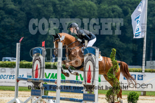 Goldene Schärpe 2021 - Ponys