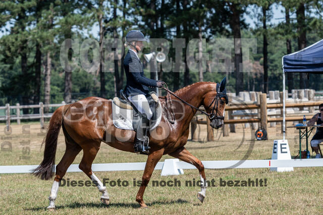 Kronenberg - De Peelbergen (August 2020)