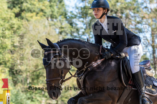 RFV Dinslaken-Hiesfeld (Herbstturnier)