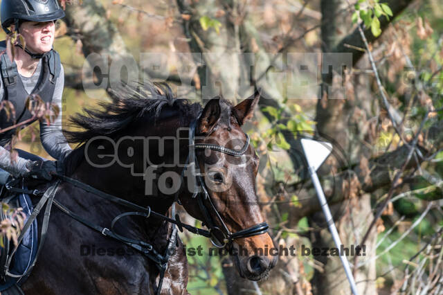 IGV Lehrgang der Sieger der Cups mit Frank Ostholt