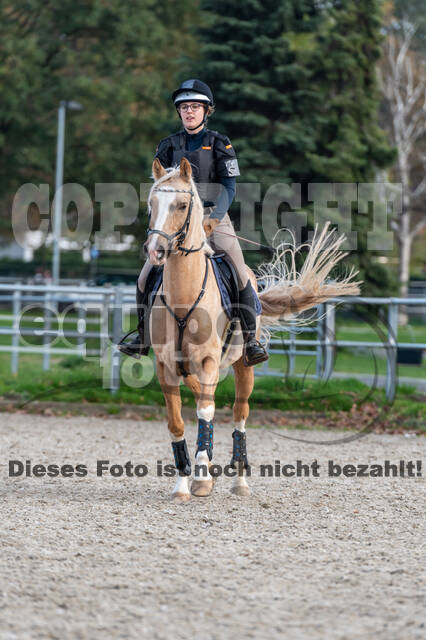 IGV Lehrgang der Sieger der Cups mit Frank Ostholt