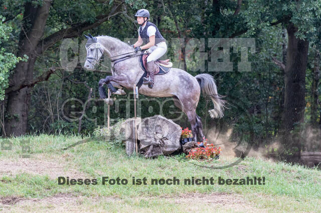 Late-Entry Vielseitigkeit Hamminkeln/Wesel (01.+02.08.2020)