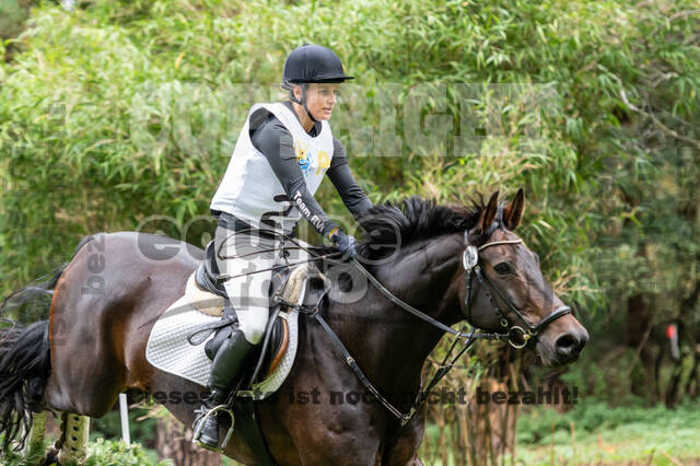 Vielseitigkeit RSV Wesel Obrighoven (26.+27.09.2020)