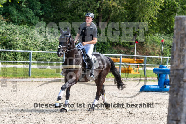 Late-Entry-Vielseitigkeit Langenfeld (11.+13./14.06.2020)