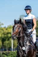 Kronenberg - De Peelbergen (August 2020)