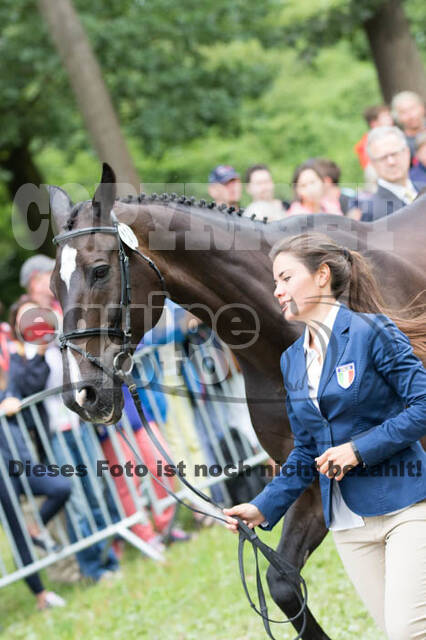 FEI European Championship