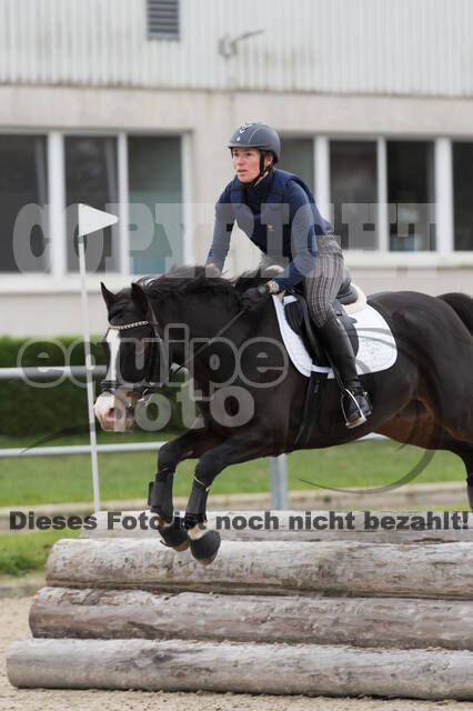 IGV Lehrgang der Sieger der Cups mit Frank Ostholt