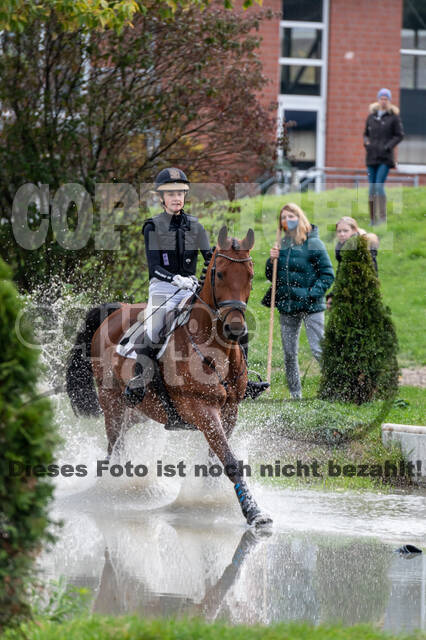 Goldene Schärpe 2020 - Pferde