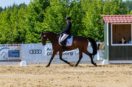 Westerstede Horse Trials 2021