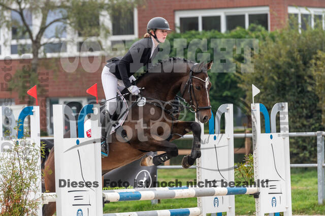 Goldene Schärpe 2020 - Pferde